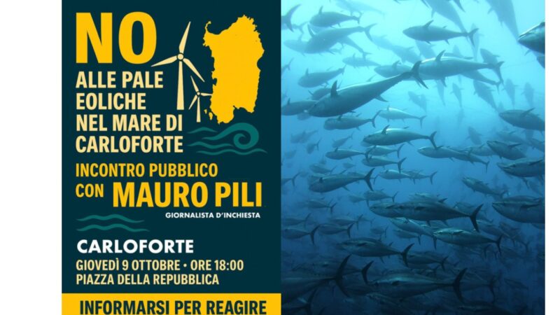 Un’isola di pale nell’arcipelago del Sulcis?